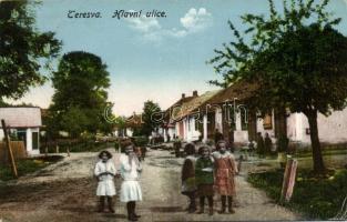 Taracköz (Teresva) main street (EK)