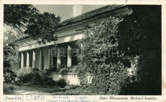Csépa Báró Hamerstein Richárd kastélya (EK)