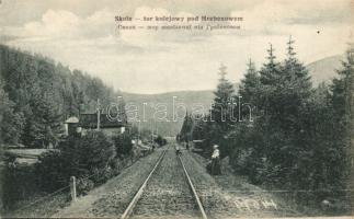 Skole railway junction