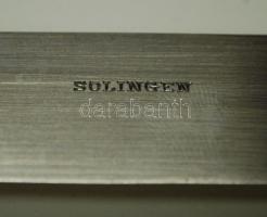 1921-1928 6db-os késkészlet Solingeni acélból, 800/1000 tisztaságú csehszlovák jelzéssel ellátott ez...