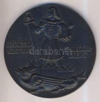 DN: "A magyar kultúra szolgálatáért M. kir. vallás és közoktatásügyi minister" bronz emlékérem szign: Boldogfai Farkas d: 10 cm