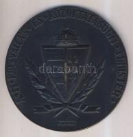 DN: "A magyar kultúra szolgálatáért M. kir. vallás és közoktatásügyi minister" bronz emlék...