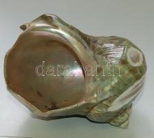 Porcelánból készült csigaház (sérült) / Chinaware 16 cm