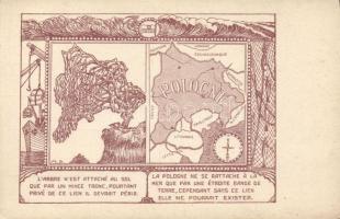 Polish political propaganda