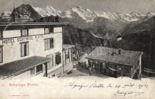 Schynige Platte Hotel