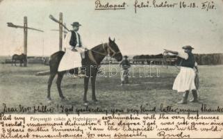 Hortobágy Pányvavető Csikós