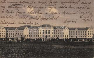 Csíkszereda grammar school (fa)