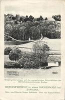 Zawadka military cemetery S: Franz Poledne (EB)