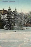 Arad Salacz Park in winter (EB)