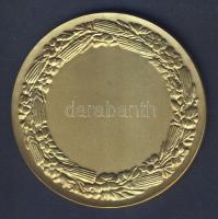 1934. "TESZ Nemzeti Munkahét" aranyozott Br emlékérem 61mm T:2+