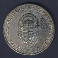 DN. "Békés vármegyei vitézi szék emlékérme" nagyalakú ffém emlékérem szign: Técsy d: 55mm