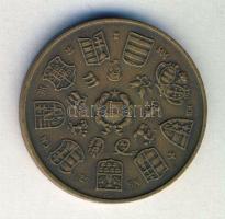 1979. "MÉE - I. István dénára" matt Br emlékérem T:1