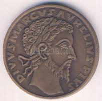 1982. "MÉE - Marcus Aurelius" Br emlékérem T:1- apró ph.