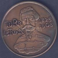 1988. "Türr István-Baja" Br emlékérem T:2