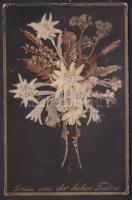 Gruss aus der hohen Tatra - régi élővirágos keménypapír lap (16.5 × 11 cm)