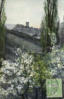 A castle in Burgenland