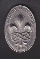 1947 Jamboree próbatábor kis plakett / Jamboree trial-camp badge 4 cm