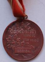 1933 "Budapesti Labdarúgók Alszövetsége Ujonc díj - Vida csoport" Br díjérem, Szign.Hawel ...