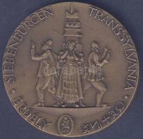 1989. Az Erdélyi menekültekért és a Magyar Nemzetért bronz emlékplakett, tanúsítvánnyal T:1 (10.000d...