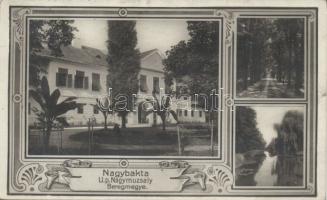 Nagybakta, Nagymuzsaly