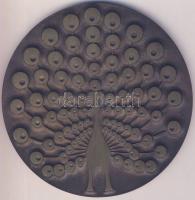 1981. "Röpülj Páva- A magyar Rádió és a Magyar Televízió Népdalversenye" nagyalakú Br emlé...