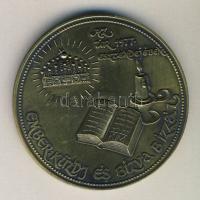 1977. "Burg Kastl-Magyar Gymnasium" nagyalakú Br emlékplakett 65mm T:1