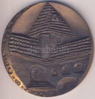 1982. Kőszeg- "International Symposium on Hospital Pharmacy" 78mm Br emlékplakett T:2