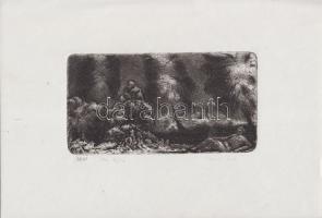 Tarjáni Simkovics Jenő (1885-1950): Kis tájkép, rézkarc-papír, jelzett, 50/17 30x21cm