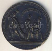 1742. Br Gúnyérem az örökösödési háborúra (bajor nadrágot segítenek Mária Teréziára) T:2 / 1742. scorn medal of Maria Theresia