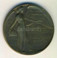 1907 "Nemzetközi Balesetügyi, Iparegészségügyi és Munkásjóléti Kiállítás" Br emlékérem. Szign. Juhász T:2