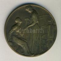 1907 "Nemzetközi Balesetügyi, Iparegészségügyi és Munkásjóléti Kiállítás" Br emlékérem. Sz...