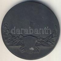 1899. "Postás Sportegyesület" díjérem II. helyezettnek T:2 szign. Klaudinyi