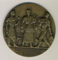 cca 1935 "Magyar Kivitel fejlesztéséért M. k. Külkereskedelmi hivatal" Br emlékérem T: 2