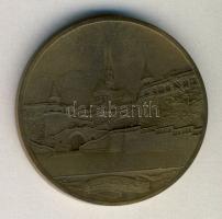 DN: "Budapesti emlék - Budai Vár látkép" Br plakett. Szign. Berán Lajos T:2-
