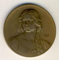 DN: "Budapesti emlék - Budai Vár látkép" Br plakett. Szign. Berán Lajos T:2-