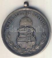 DN  A Kalocsai Szent István Gimnázium jutalom-érme T:2