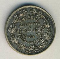 1897.Augusztus "A Szegzárd-Bátaszéki H.É.V. vasút megnyitása" fém emlékérem T:2