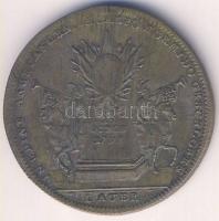 Németország/Nürnberg (Lauer-verde) 1797.október 16. "Campo-Formio-i béke" Br zseton T:3