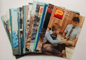 1984 A Pajtás újság teljes évfolyama