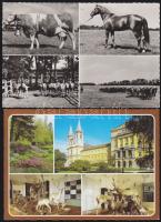 Állatok - 50 db zömmel modern magyar és külföldi képeslap, köztük egy dimenziós lap / 50 Animal cards