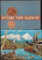 Állatok - 50 db zömmel modern magyar és külföldi képeslap, köztük egy dimenziós lap / 50 Animal card...