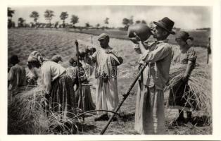 Hungarian folklore, harvest photo