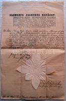 1846 Kinevezési okirat Kunszt József érsek és Mészáros Imre kanonok, író saját kezű aláírásával és p...