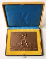 1923. "Az érdem jeléül" Pénzintézeti Központ Tisztviselőinek Sport Egyesületének bronz emlékplakettje eredeti dísztokban T:1