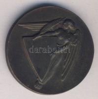 1927. A Magyar Nemzeti Bank alkalmazottainak sportegyesületének bronz emlékmedálja T:2