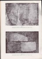 Munkácsi Ernő: Der Jude von Neapel. Die historischen und kunstgeschichtlichen Denkmäler des süditali...