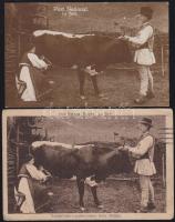 Képeslap variáció tétel: 2 db érdekes régi, Román Folklór lap (román, illetve német kiadásúak) / 2 Romanian folklore cards