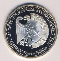 Németország 1990. július 1. "gazdasági és pénzügyi unió" Ag emlékérem 39g T:PP