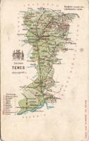 Temes county map