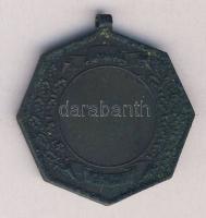 1893. "Magyar Úszó Egyesület" Br medál T:2